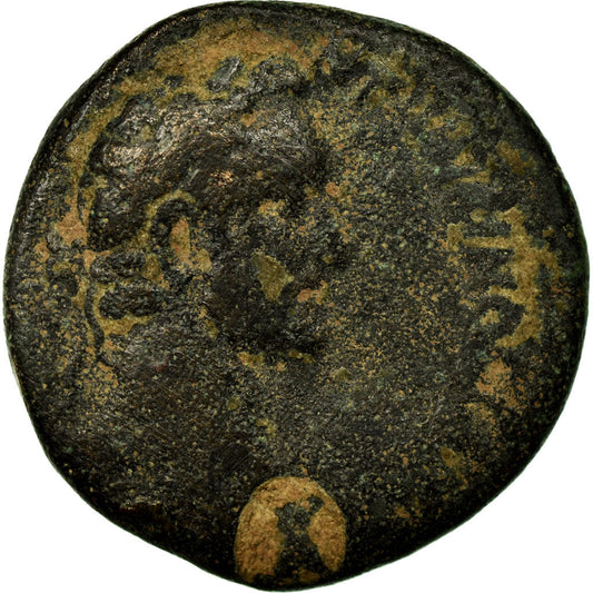 madeni para, 
  
  Seleukis ve Pieria, 
  
  Antoninus Pius