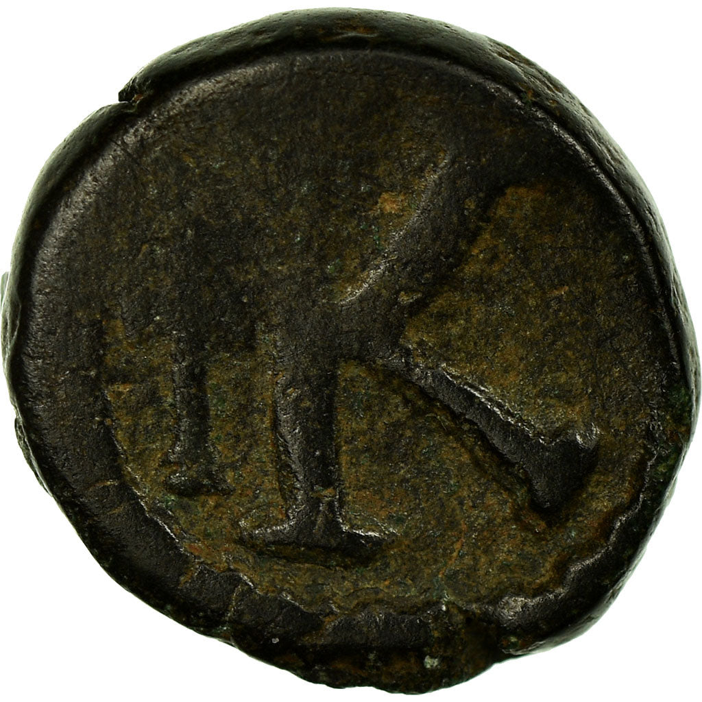 madeni para, 
  
  Anastasius I, 
  
  Yarım Follis