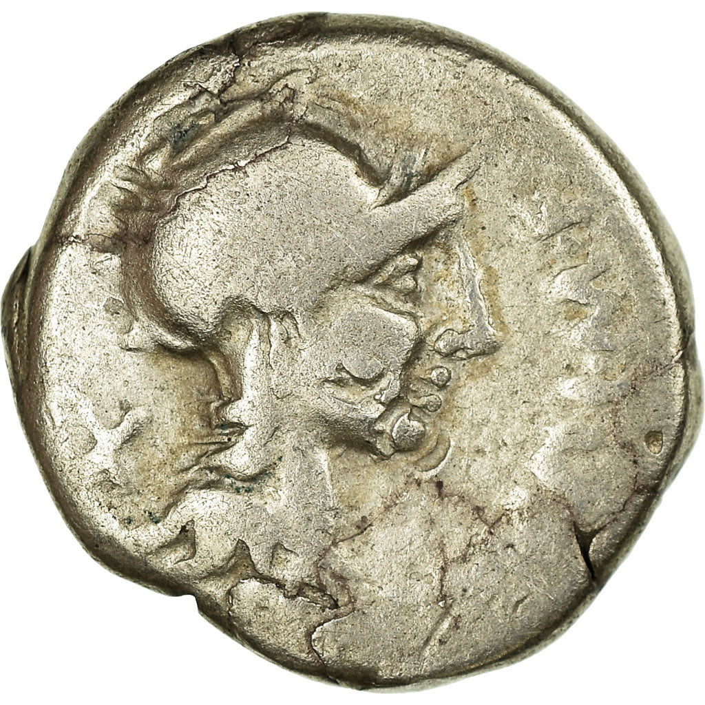 madeni para, 
  
  Cipia, 
  
  Denarius