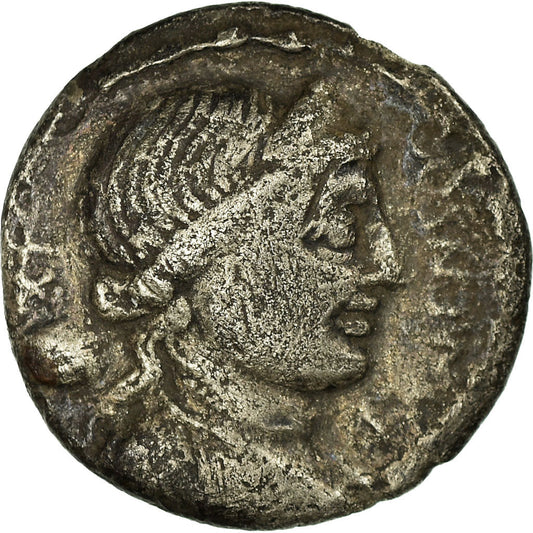 madeni para, 
  
  Farsuleia, 
  
  Denarius