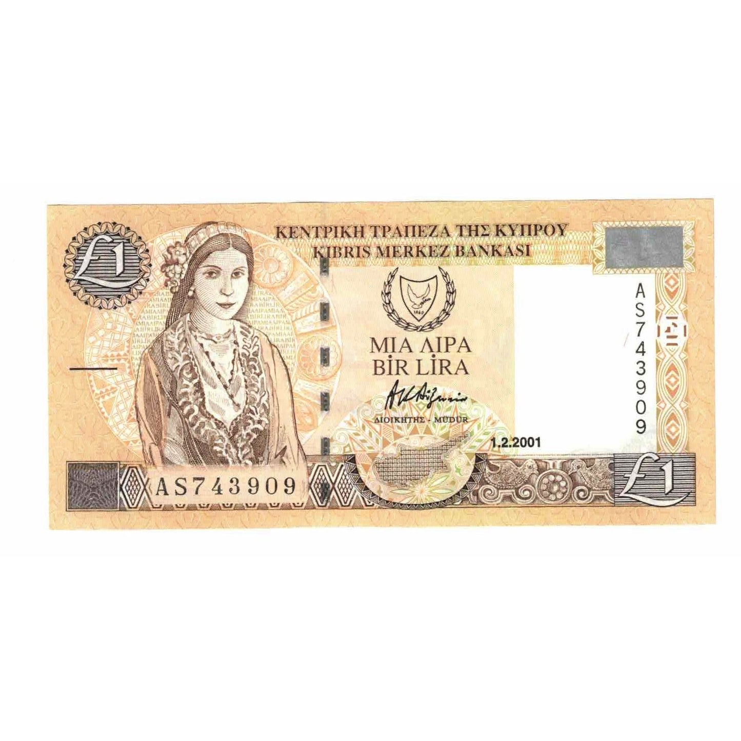 Banknot, 
  
  Kıbrıs, 
  
  1 pound