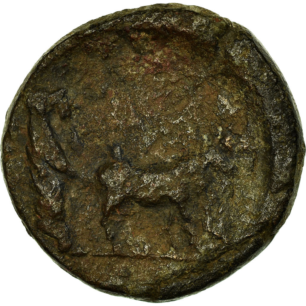 madeni para, 
  
  Drusus, 
  
  Bronz Æ