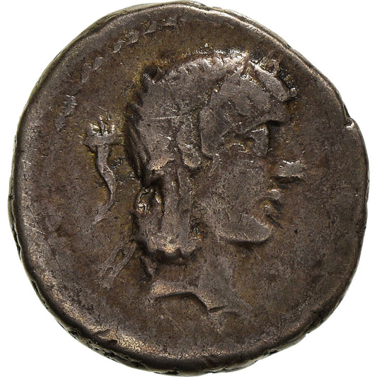 madeni para, 
  
  Calpurnia, 
  
  Quinarius