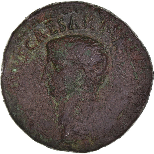 madeni para, 
  
  Claudius, 
  
  Dupondius